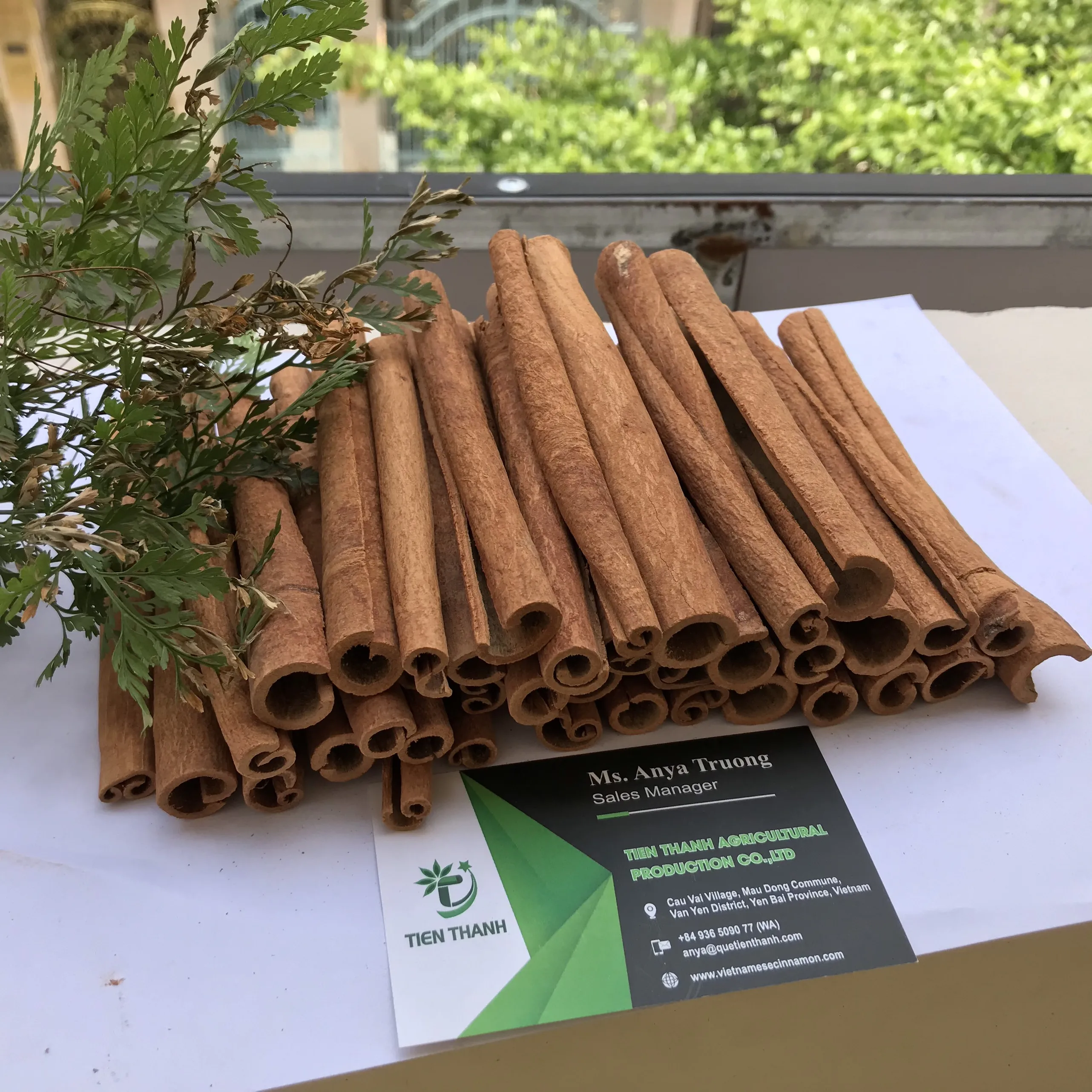 Карандаш корицы/укрытая Корица/Canela de Cassia