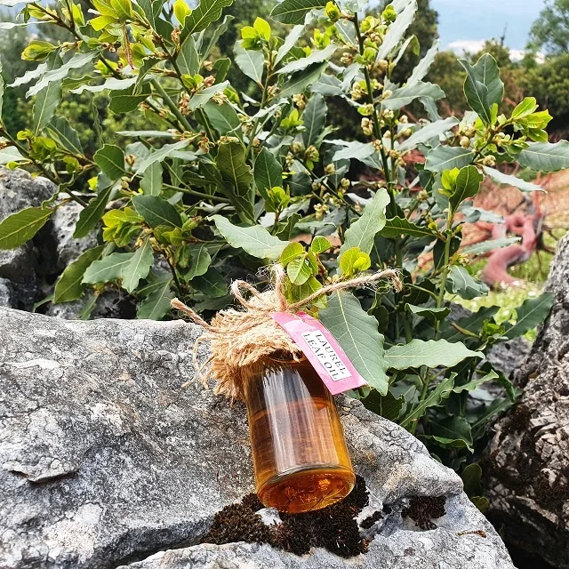 月桂叶油 Laurus Nobilis Buy 月桂叶油月桂华贵月桂叶油植物精油alauret浆果 纯净的精油月桂华贵 月桂叶油月桂树 叶精油皂纯月桂华贵油