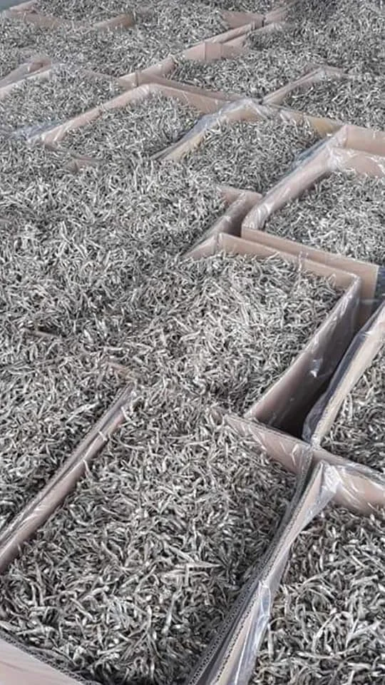 Factory Professional Production Bulk Dried Anchovy Dried Salted Anchovy