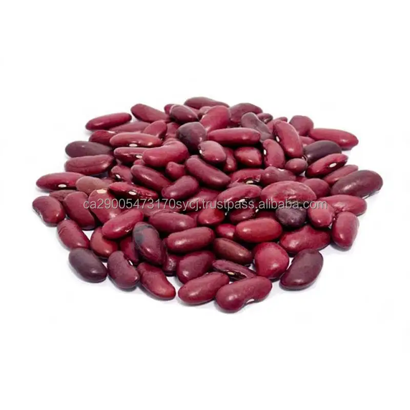 gh-rajma-red-1kg_1-800x800.jpg