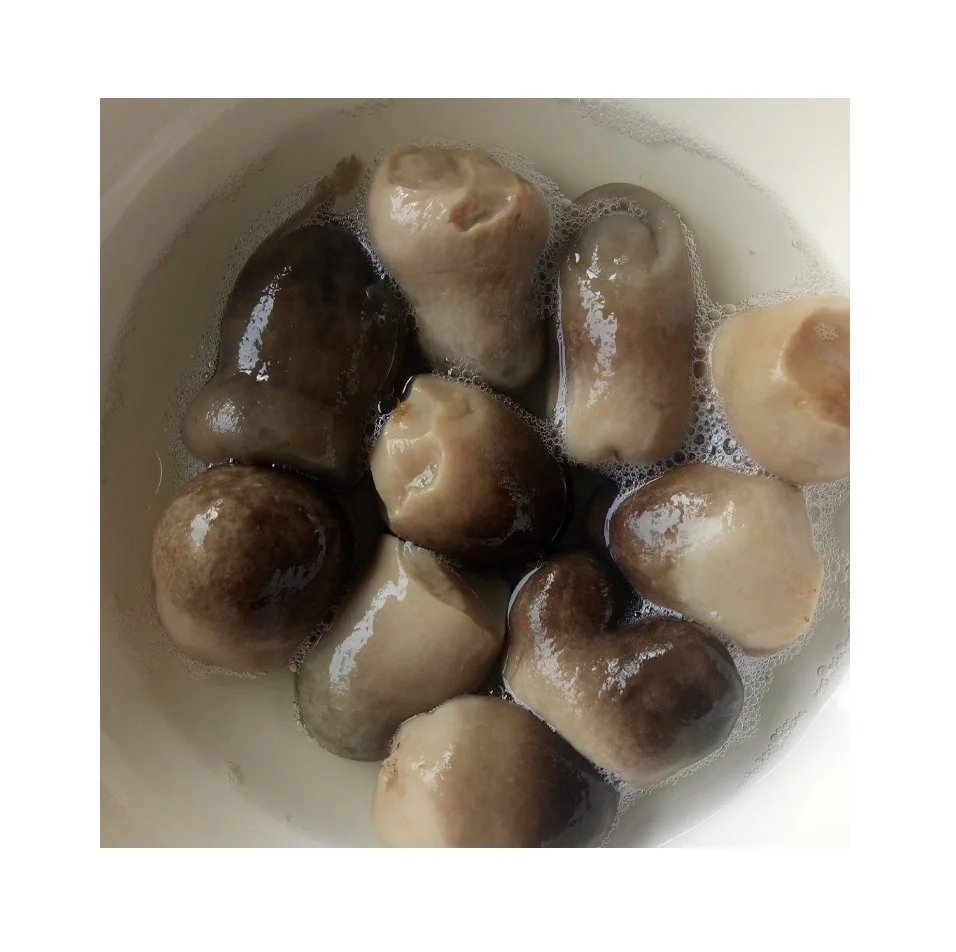 natural salted straw mushroom/ canned mushroom in brine with