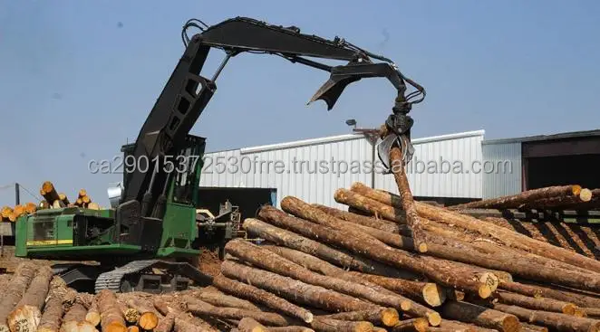 pine logs 5.jpg