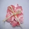 สีชมพู