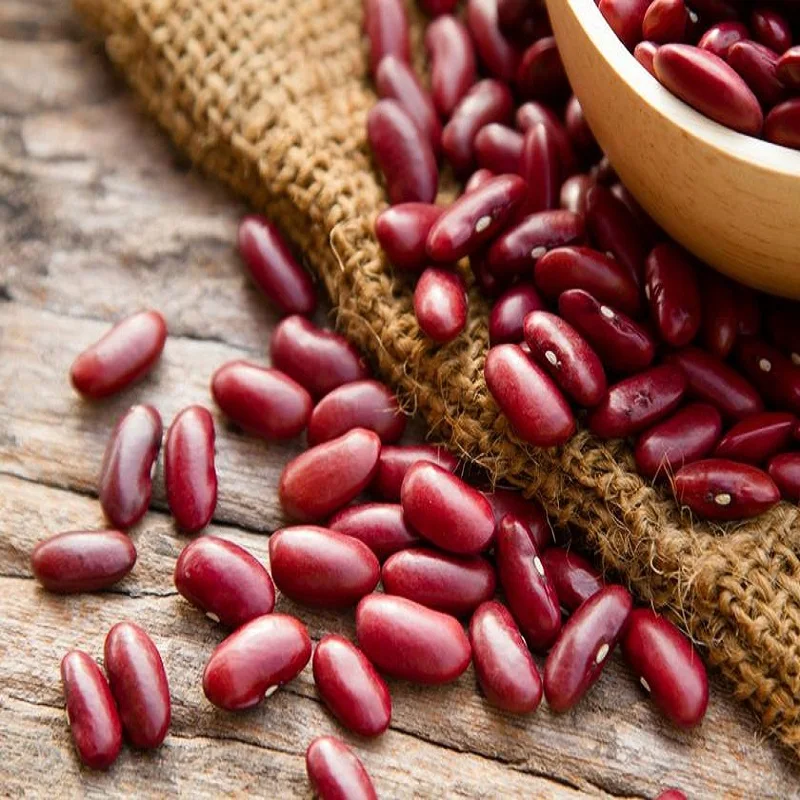 quality red bamboo beans for sale - buy red spotted bean,red
