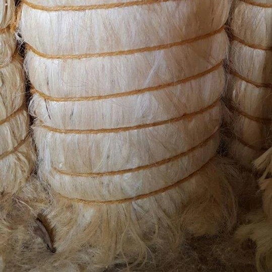 fiber.jpg