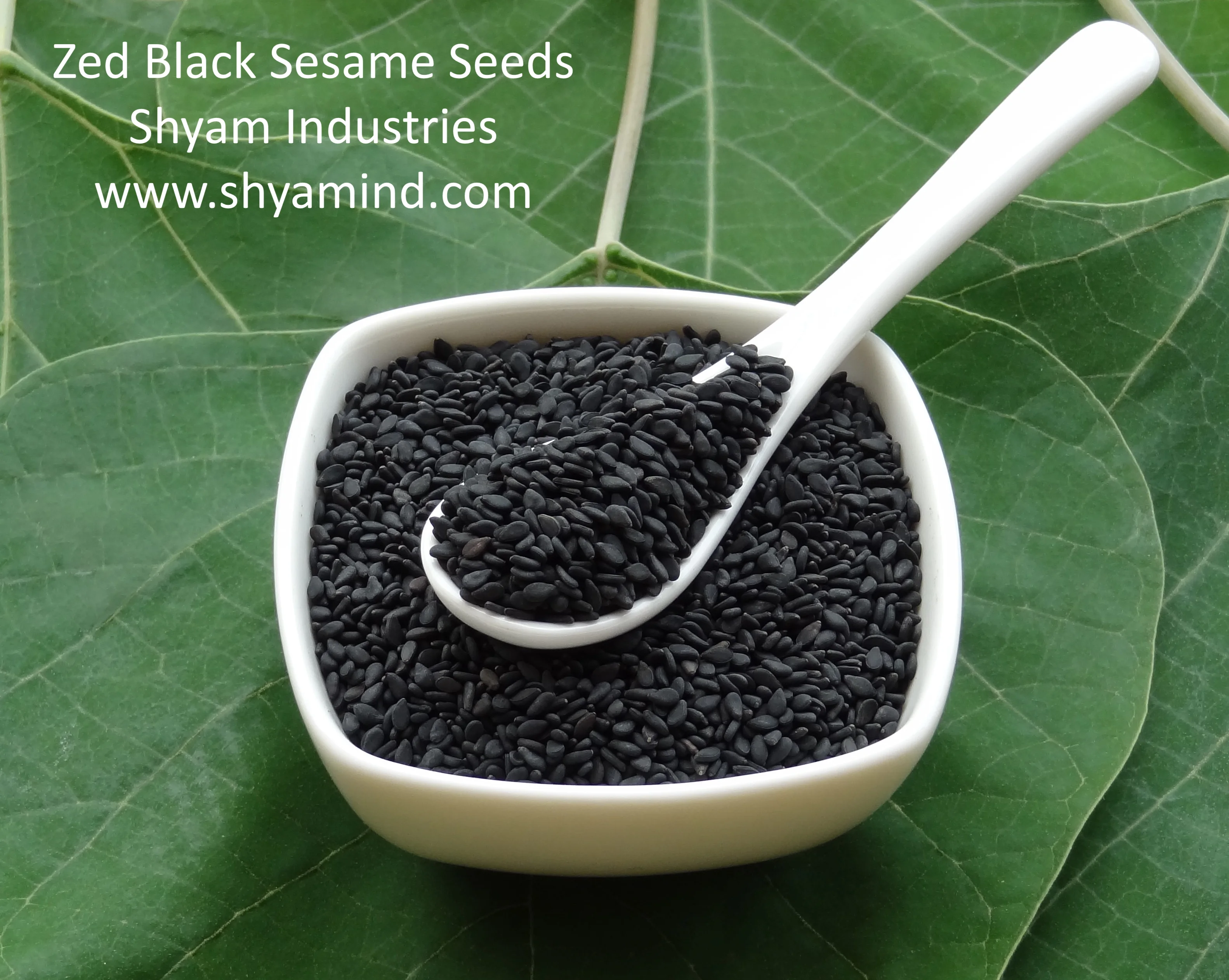 best arrival black sesame seeds from indian supplier - buy black