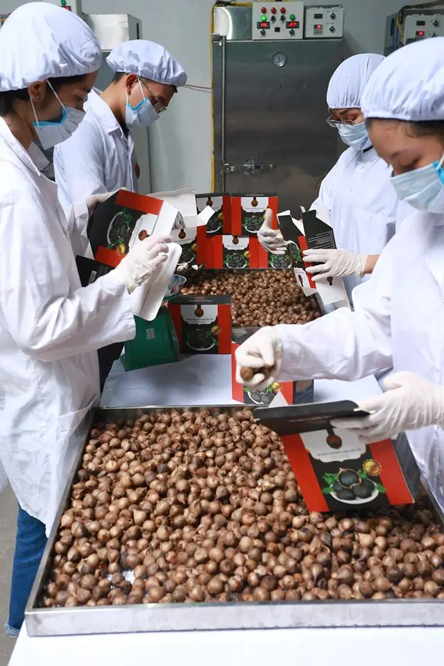 Натуральный черный чеснок/органический чеснок/100% чистый