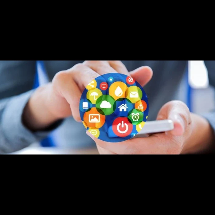 Образование & M-приложение для изучения развития компании | protolabz