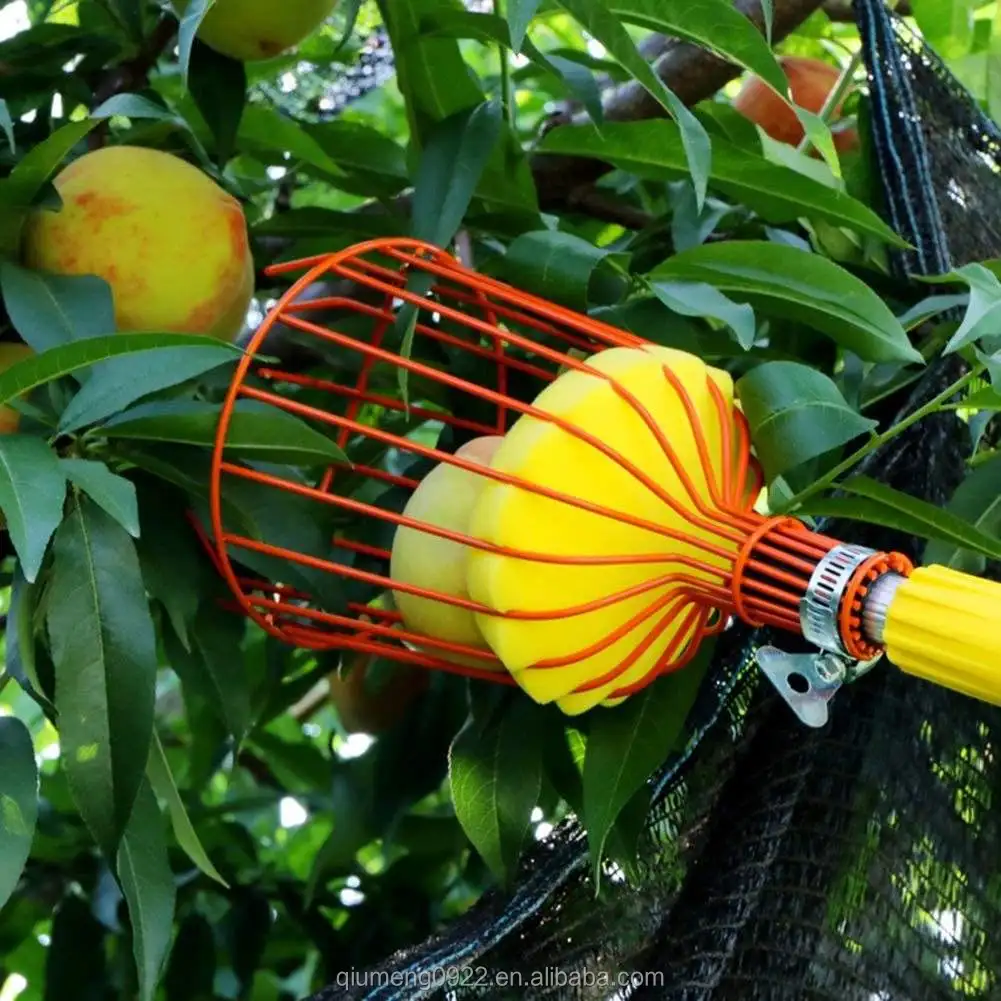 Sans poteau pratique Apple Catcher Cueille-fruits Cueillette outil pêche collector 