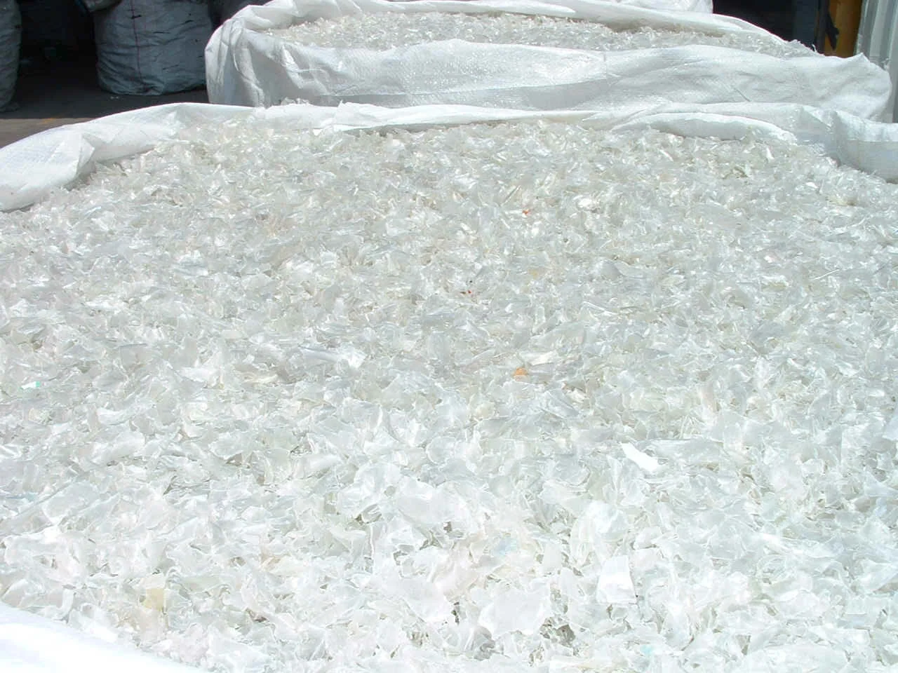PET FLAKE 5.jpg