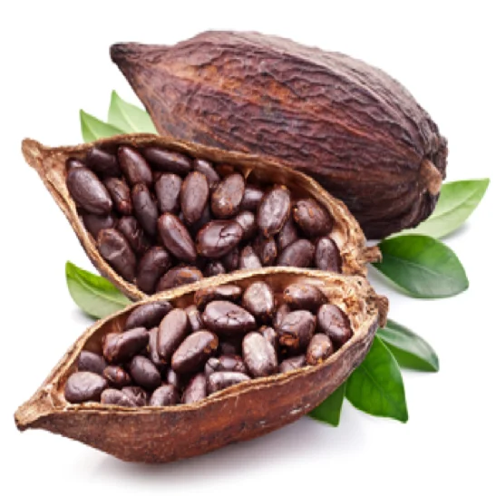 Organic Cocoa Beans,.png