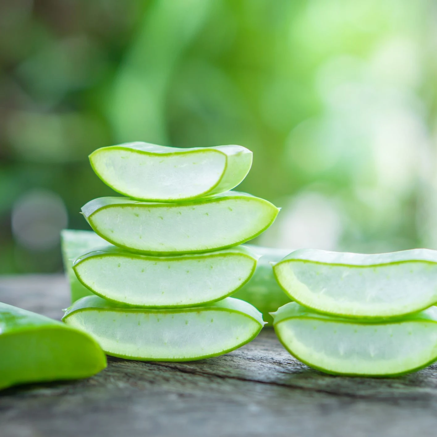 buy fresh aloe vera flesh with good price/ vicky n  84 90 393