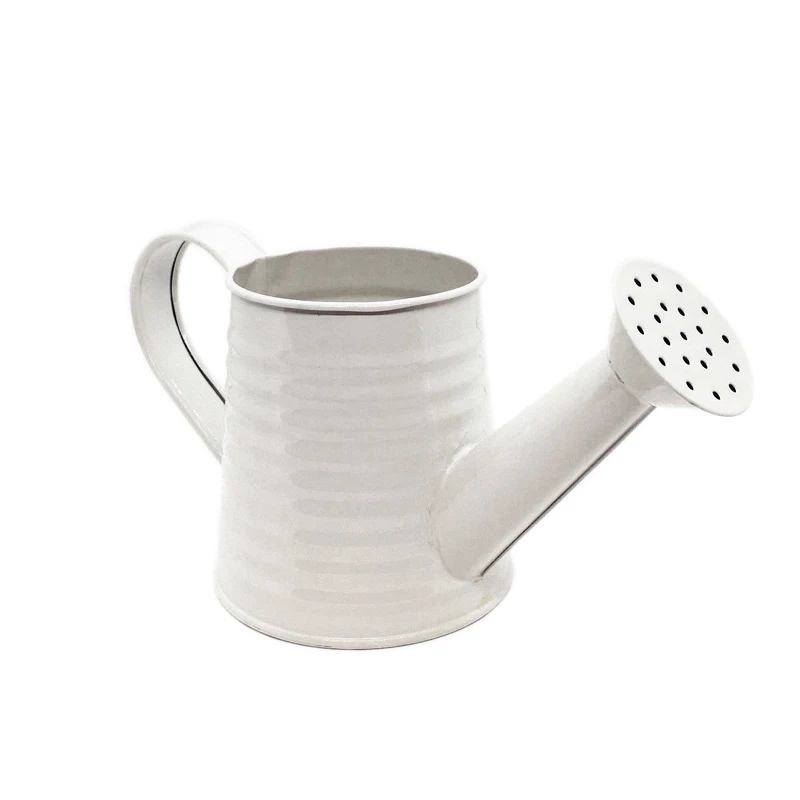 Indoor Use Watering Can Galvanized Planter Golden Finished Gardening