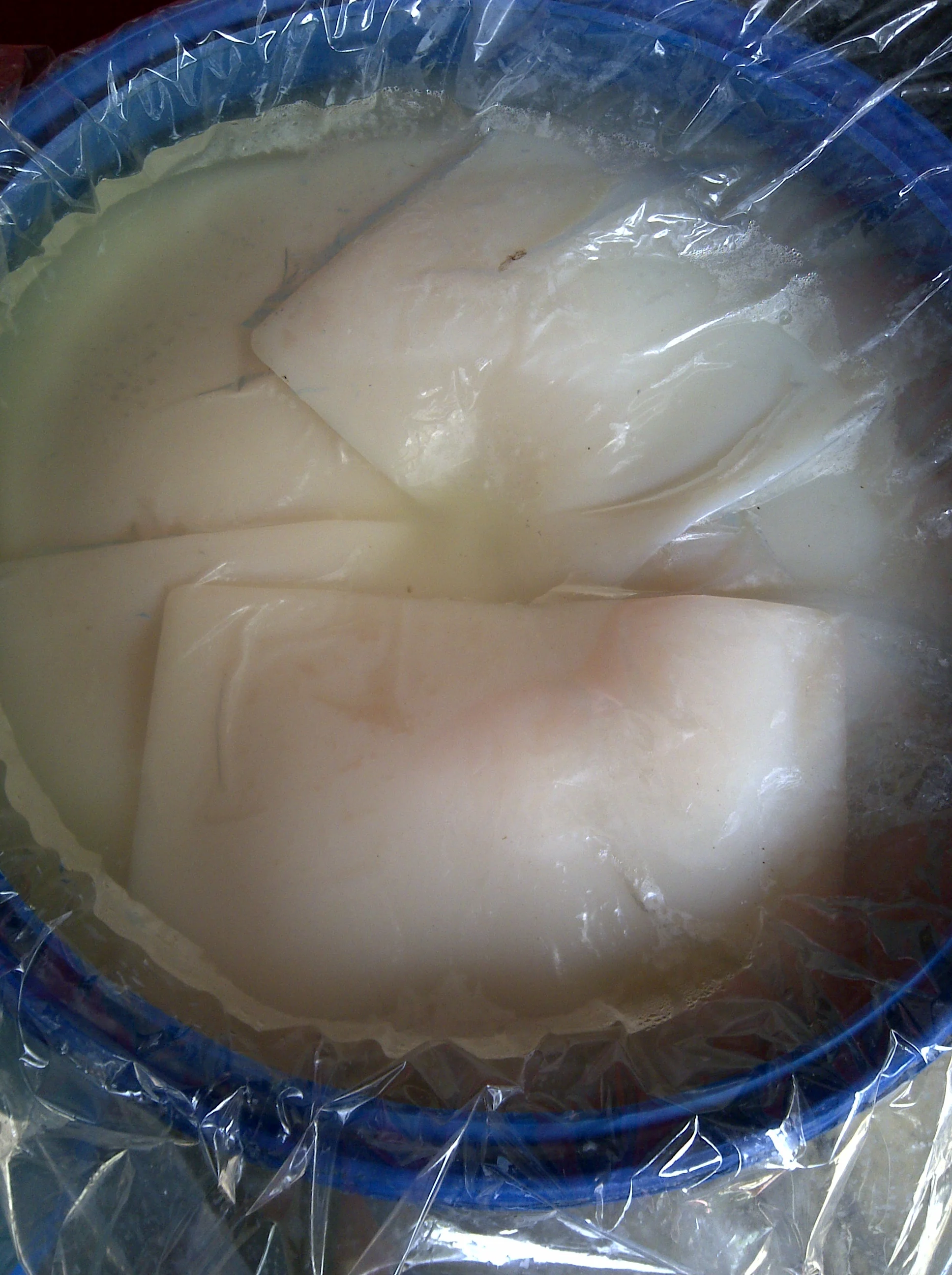 Jelly & Pudding Nata De Coco Drink Raw Nata De Coconut Buy Coconut
