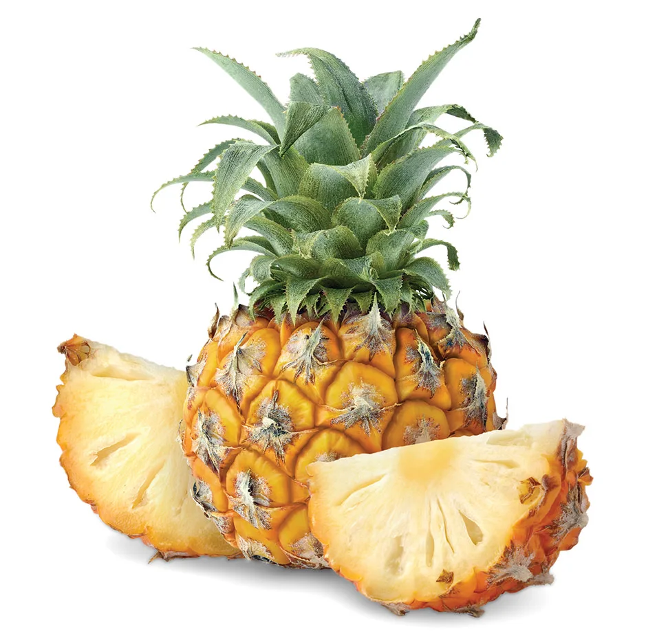 all industries agriculture fruit fresh fruit fresh pineapples