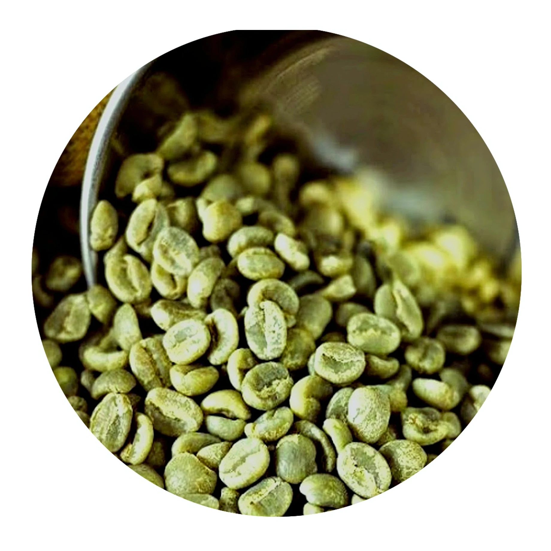 Кофе в зернах 1 кг робуста. Кофе в зернах Робуста купить в зеленых пакетах.