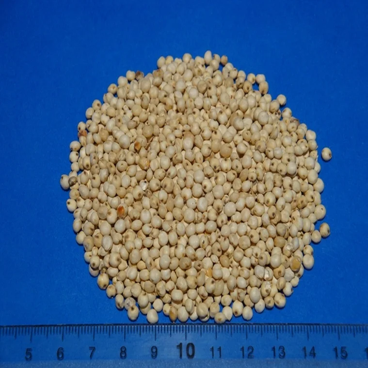 Sorghum standard.jpg