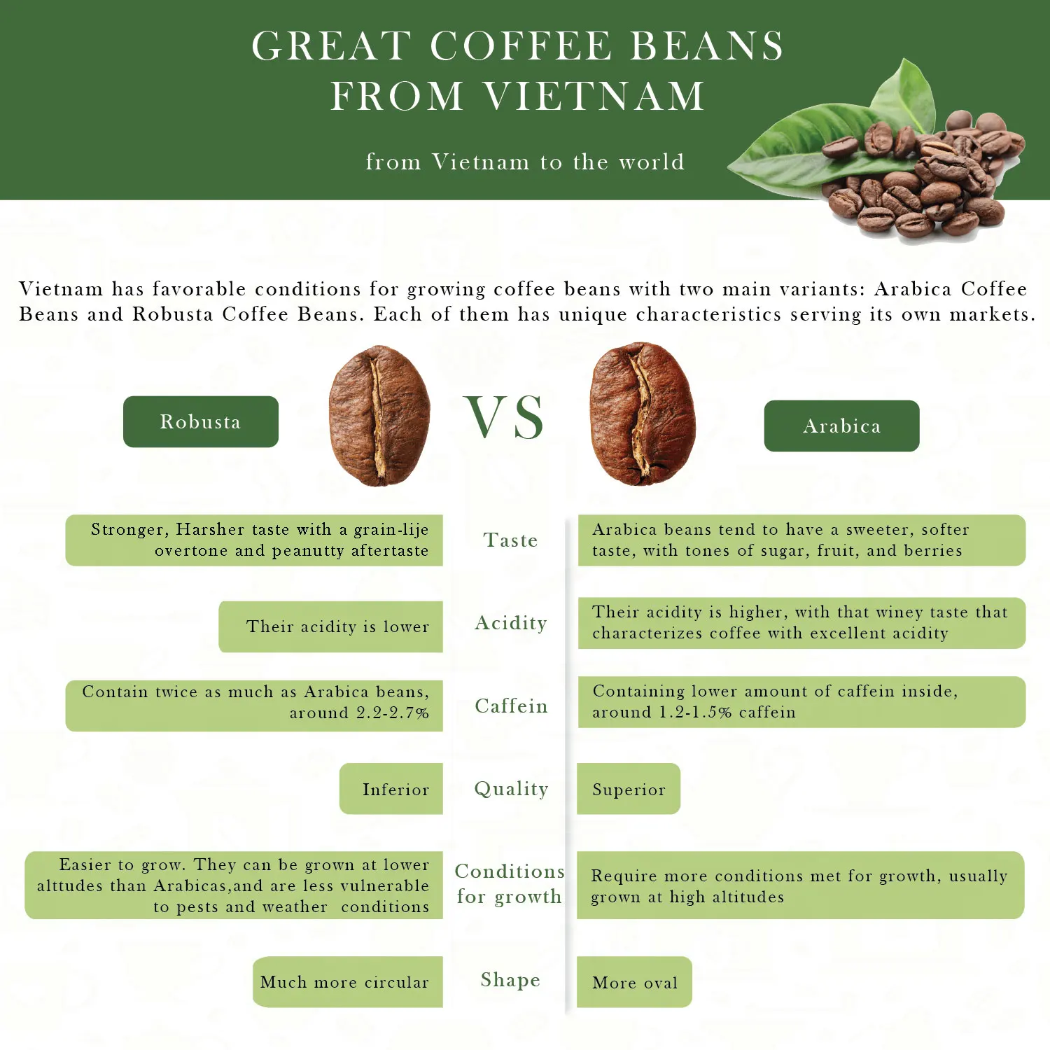 Coffee Wholesale Coffe Floured Coffee Bean Private Label Healthy Drink Green Coffee Bean