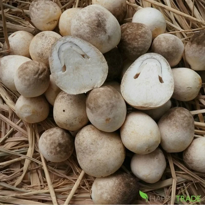 Straw Mushrooms Whole Peeled