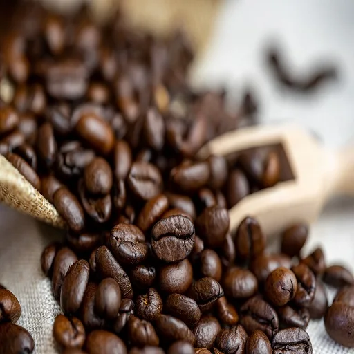 where to buy coffee beans