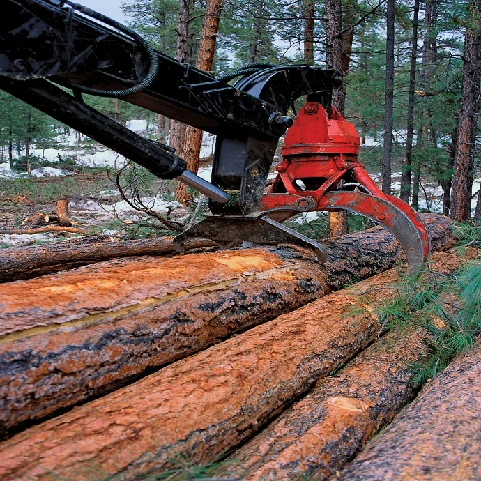 timber2.jpg