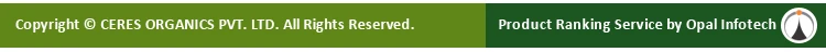 Footer.jpg