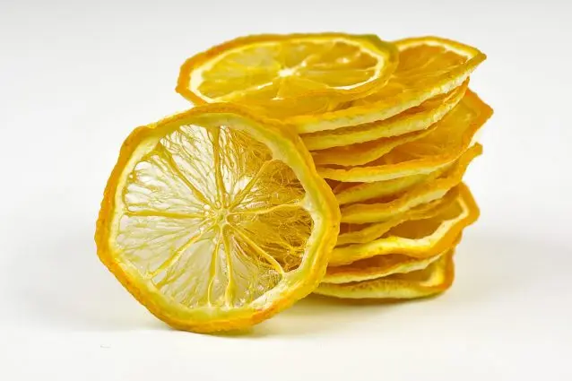 Competitive Price and High Quality Dried Lemon (Mr.David)