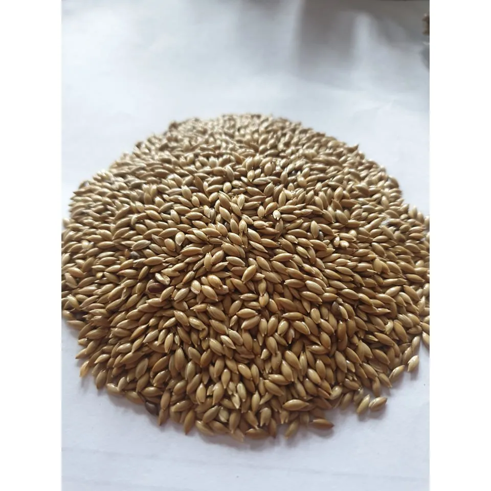 bird seed bulk suppliers