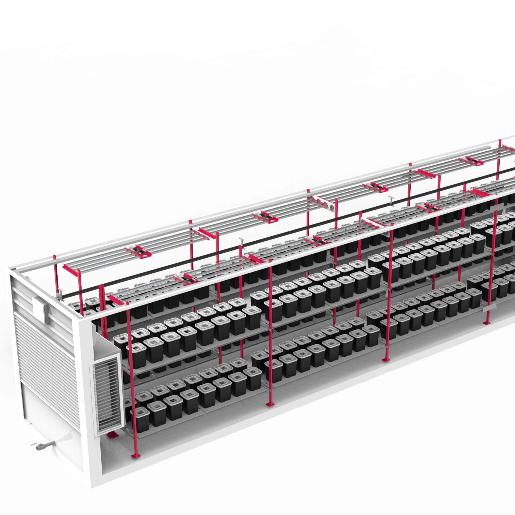Growing Container Cherry Tomatoes in Container Farm  Cheap Containers to Grow Vegetables Winter Vertical Grow System