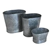 Galvanized