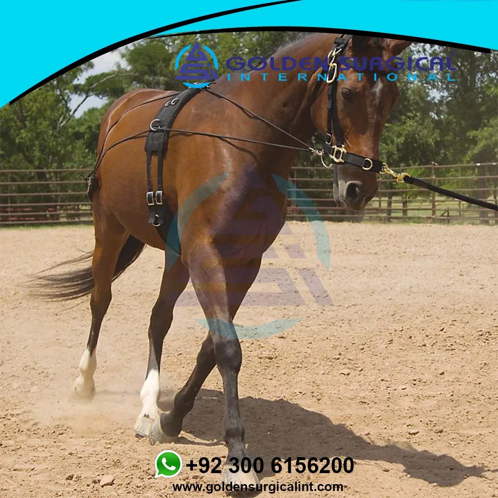 Customizable Balance Training System Direct From Manufacturer Buy