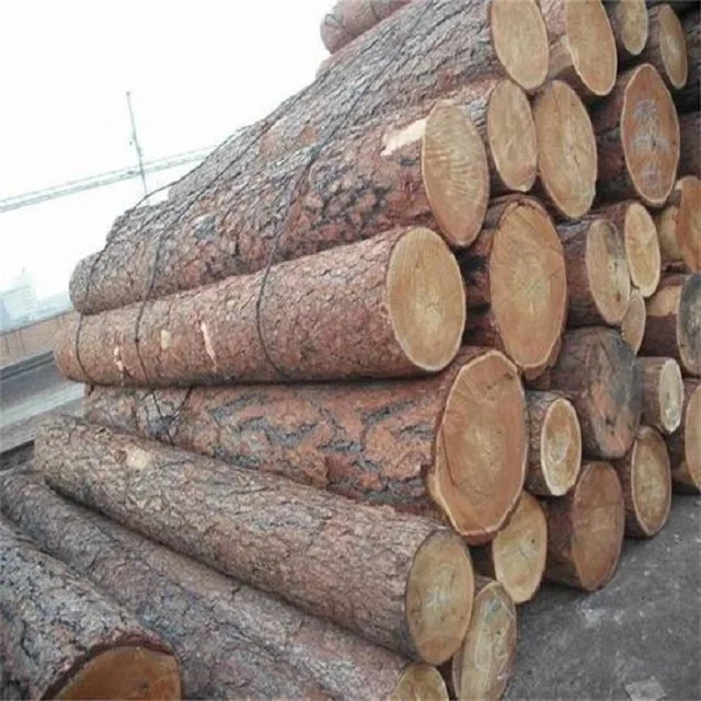 oak66.jpg