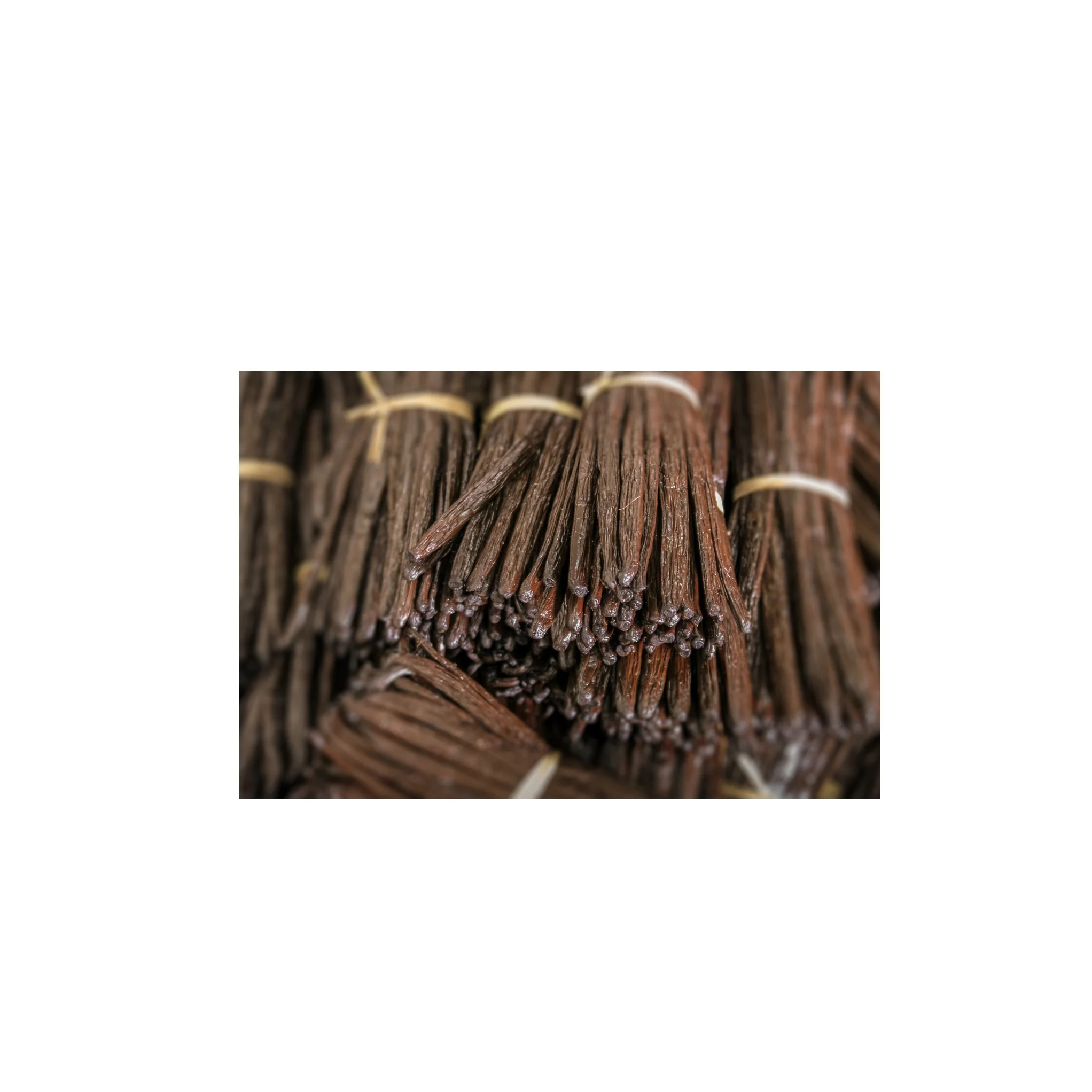 Organic Vanilla Beans Madagascar (Premium Gourmet Grade One