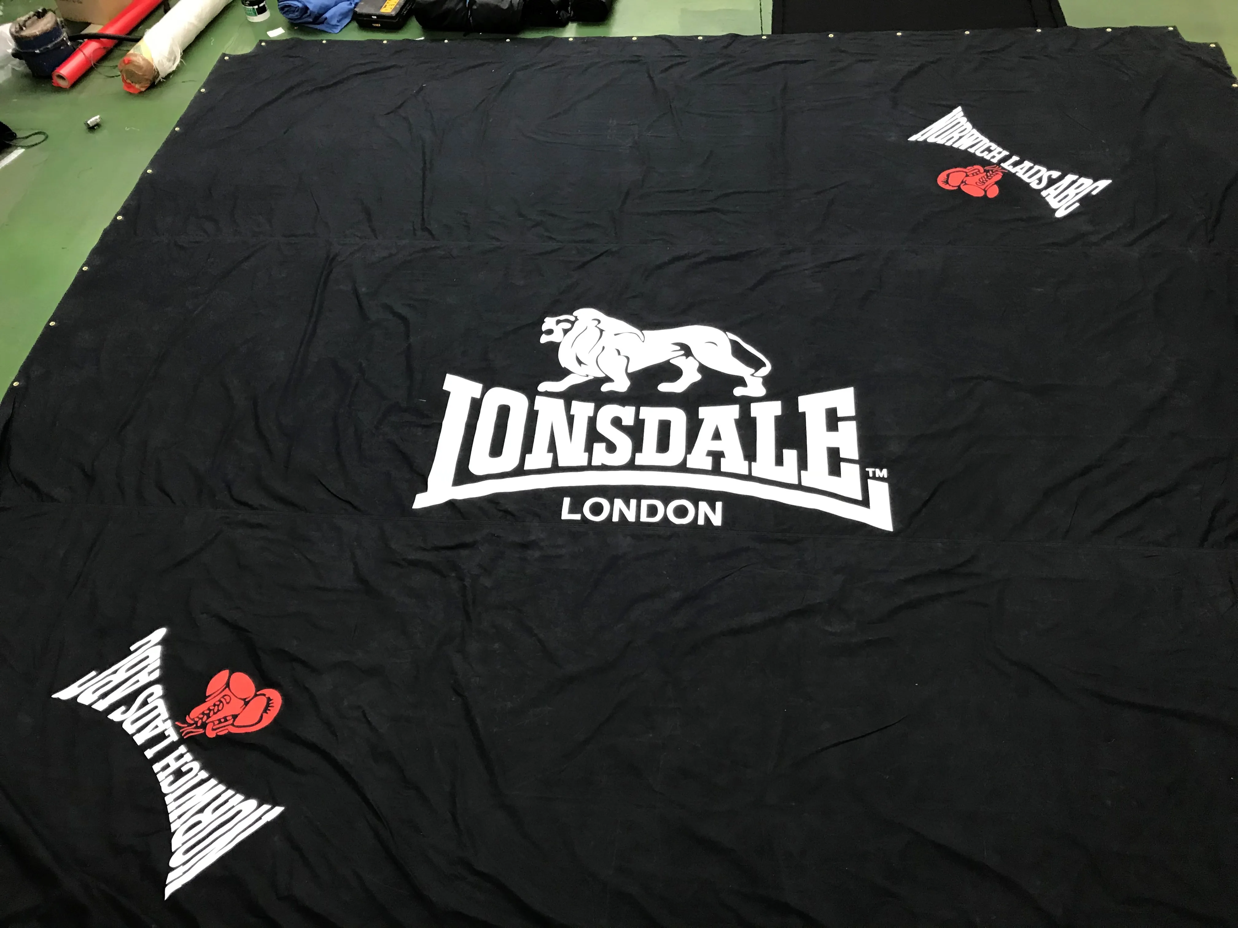 Empty Boxing Ring, Palace Of Sports Fleece Blanket by  Win-initiative/neleman - Photos.com