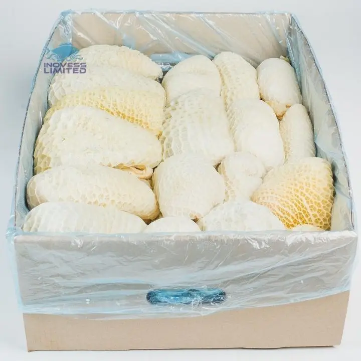 Frozen Beef Tripes / Beef Tripe & Beef Good Prices Buy Beef