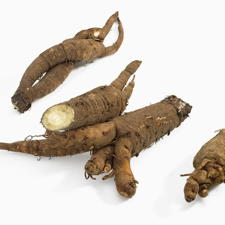 Fresh Burdock fresh.jpg