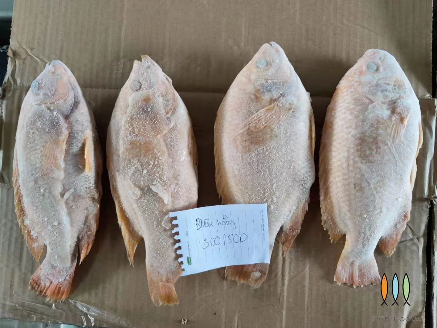 Seasonal Frozen Seafood Vietnamese Oreochromis Spp Red Tilapia Fish 2
