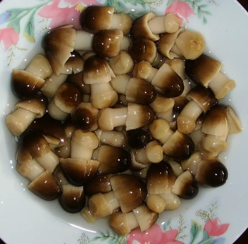 SLO-POLAR MUSHROOM STRAW, Canned Mushrooms
