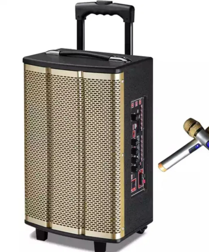 Best Sound Big Power 50W - 100W 12 Inch Wooden Trolley Speaker TWS ...