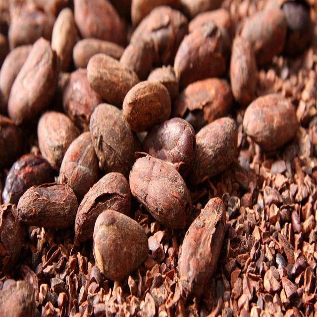 
 Ivory Coast Quality Dried Cacao Beans / Cocoa- Beans  