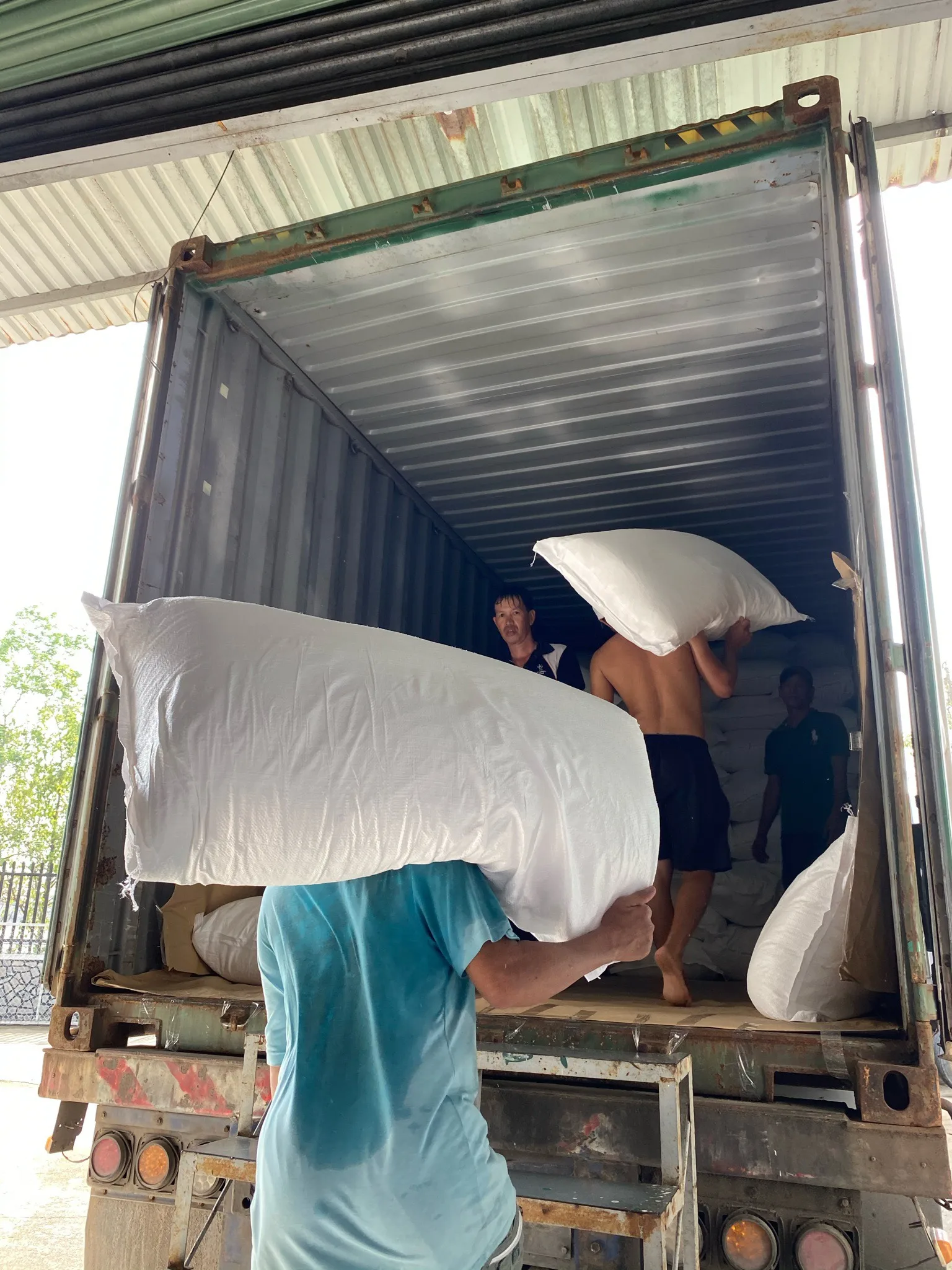 Сушеный тертый кокосовый кокос/высокомобезжиренный кокос/жирный порошок с низким содержанием жира-Whatsapp 0084 989 322