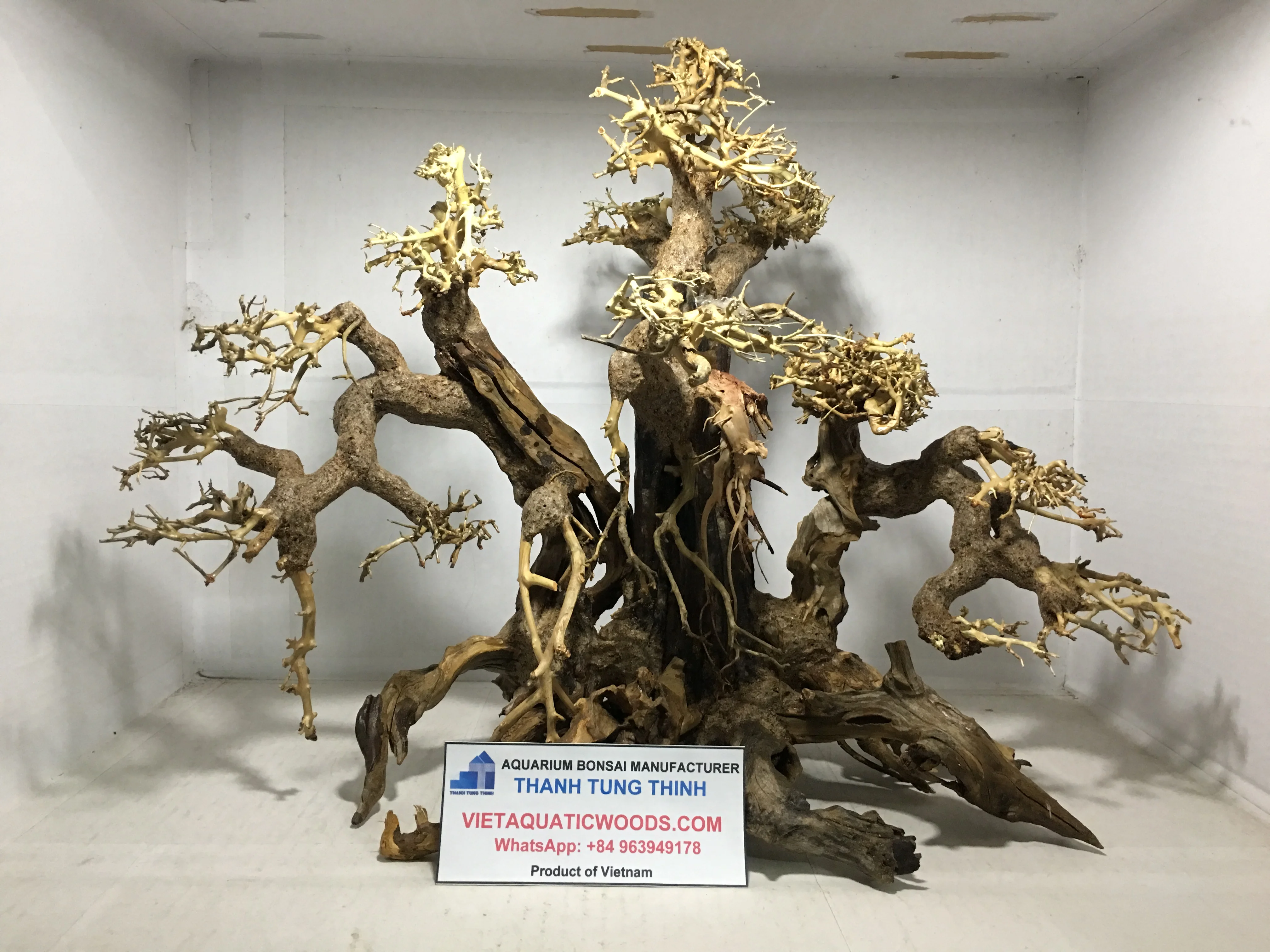 Best seller - Wholesale Bonsai Driftwood Tree for Aquarium Aquascape, Fish  tank Decoration Made in Vietnam