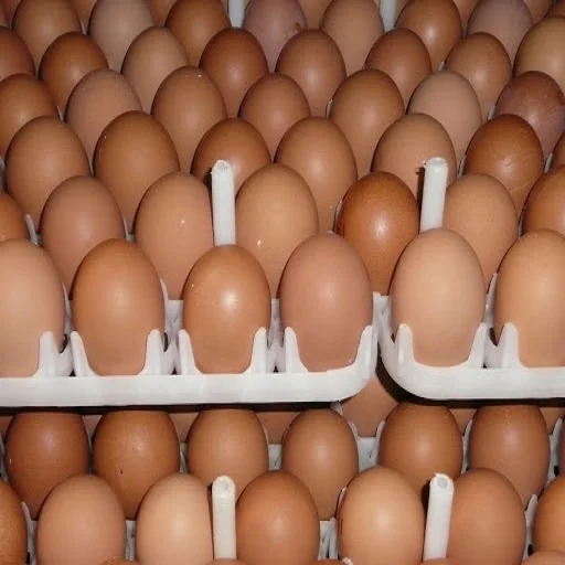 Ufafc9b.jpg