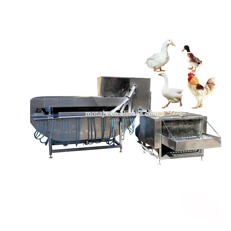 Automatic Steam Chicken Scalding Machine with Plucker Chicken Slaughter Machine Price