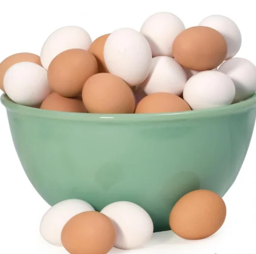 5 (2).png