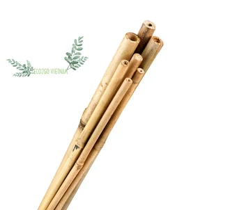 100% NATURAL HIGH QUALITY MATERIAL Bamboo poles/ Natural bamboo poles/Raw bamboo poles Bamboo poles construction MADE IN VIETNAM