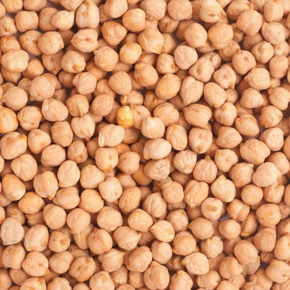 High Quality Dried Chickpeas Chick Peas For Sale Buy Chickpeas Product On Alibaba Com