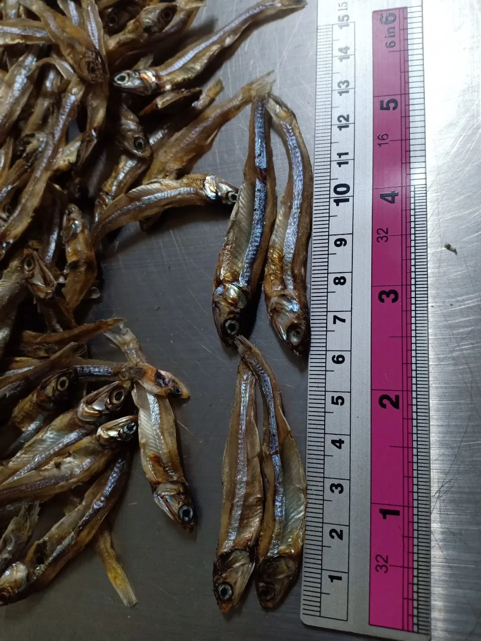 Dried Anchovy Fish/ Dry Anchovy/ High Quality And Good Price Sprats