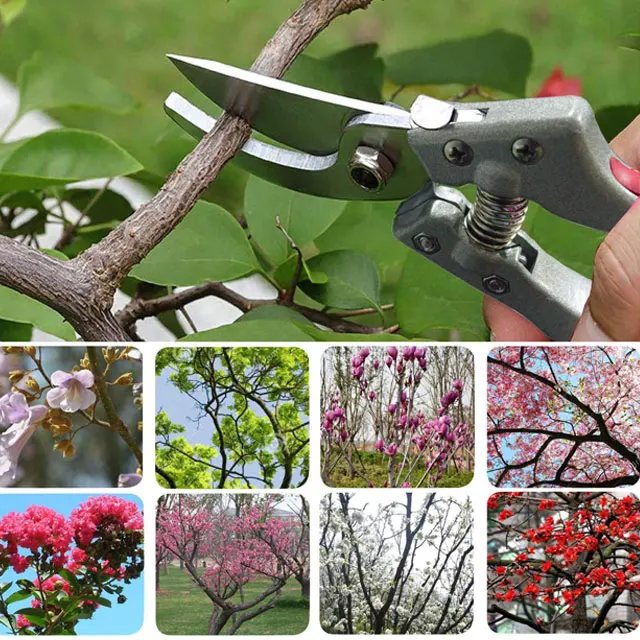 
 Ножницы из нержавеющей стали для дома и улицы, Нескользящие садовые ножницы для растений, цветов, оранжевого, зеленого цветов, с ручкой  