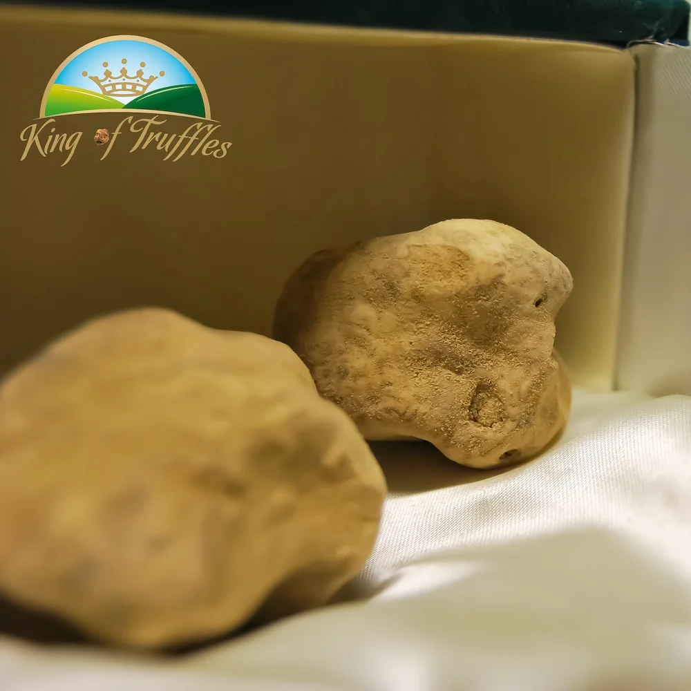 best selling product italian fresh white truffle for pasta and